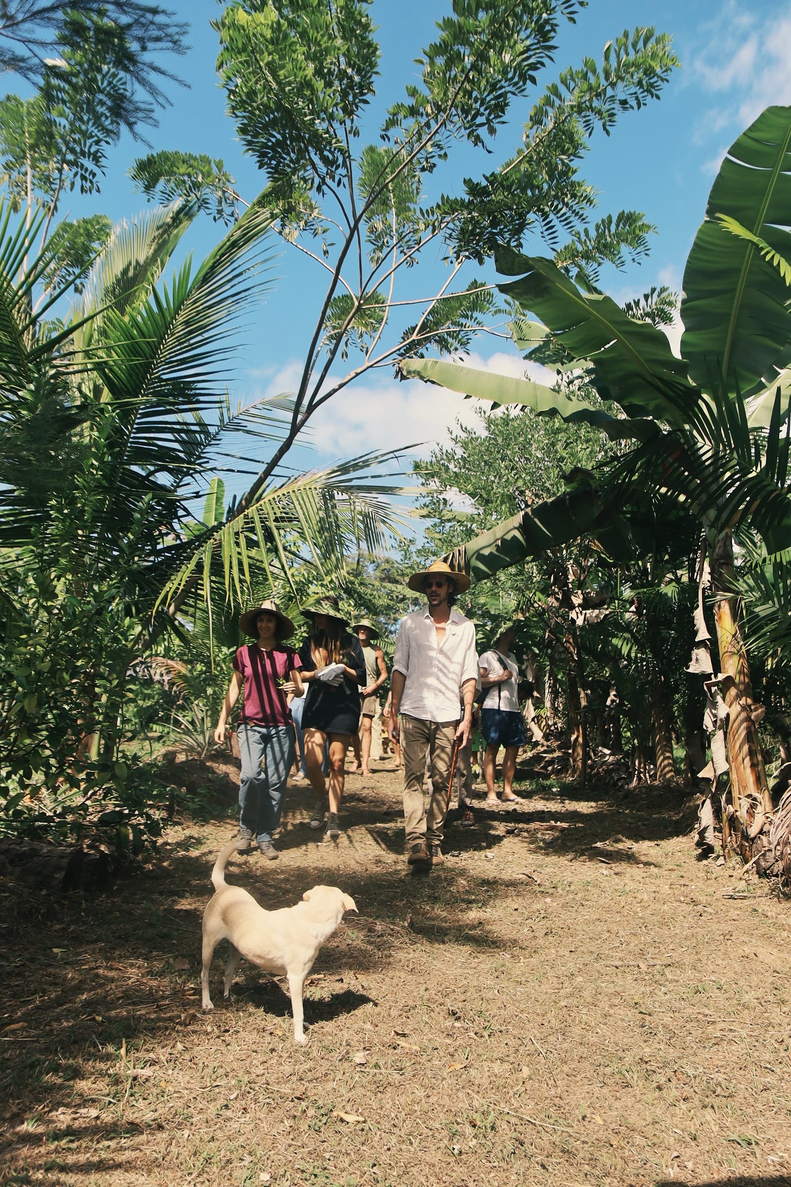 Equipe corporativa participando de ação ambiental na ALUME