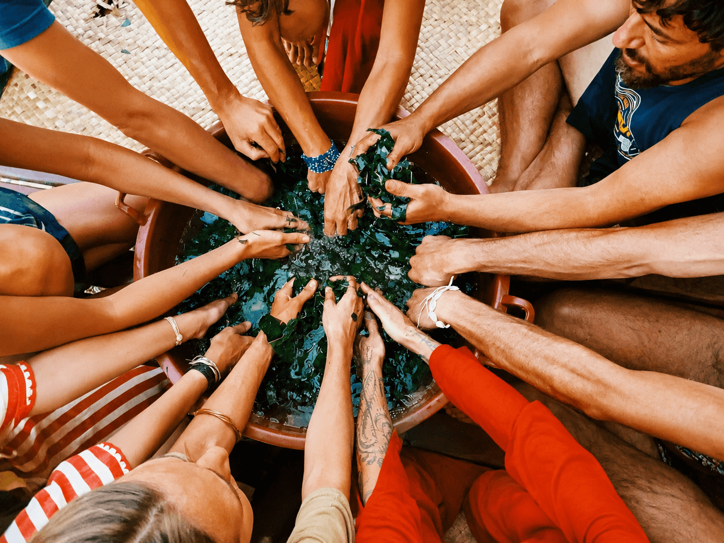 Organize Workshops
